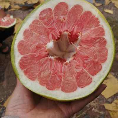 紅心柚批發(fā)價格探析 優(yōu)質貨源，價優(yōu)物美